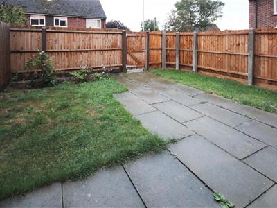 Picture 10